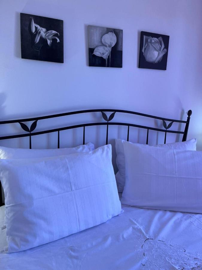 Apartman Gorana With Swimming Pool Jelsa  Extérieur photo