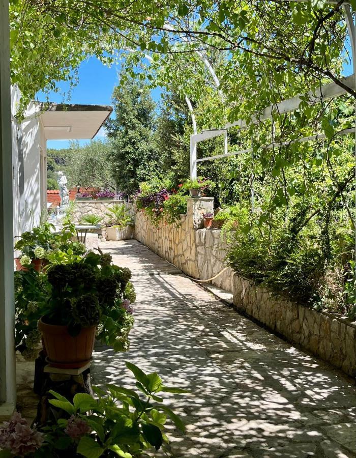 Apartman Gorana With Swimming Pool Jelsa  Extérieur photo